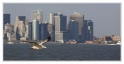 NY Goeland1